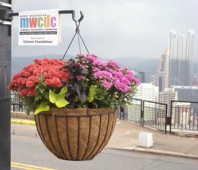 Mount Washington Fall Hanging Basket, 2009