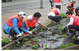 Volunteers plant flowers at Carnegie Museum, Spring 2011