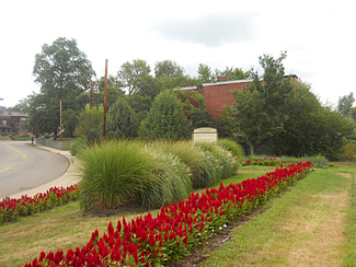 Homewood Community Garden at Frankstown and Bennett, 2010
