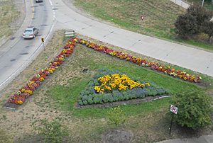 Garden from Sarah Heinz House rooftop, 2010