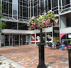 Hanging Basket in Market Square, 2011